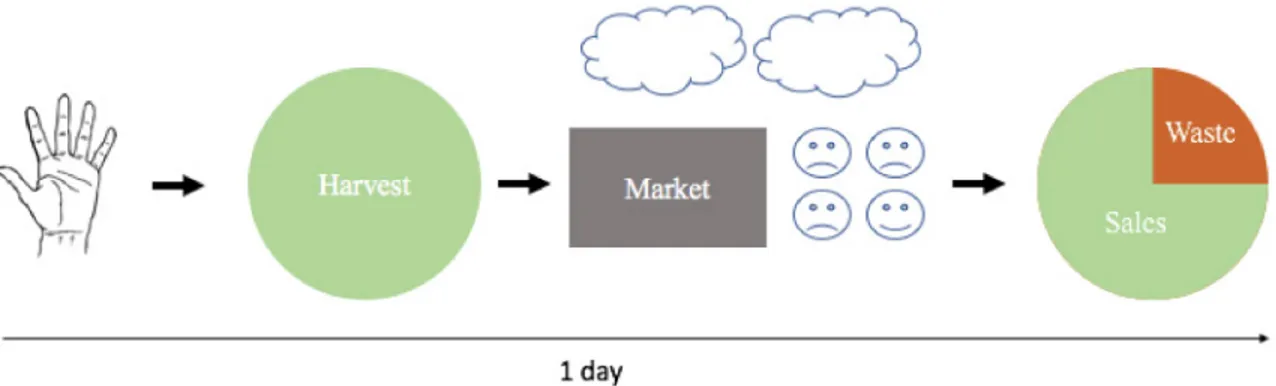 Figure 1: Exemplary scenario model of a farmers’ market sale: Farmers pick produce on the same day (hand),  according to an estimated demand, and bring it as harvest to the market