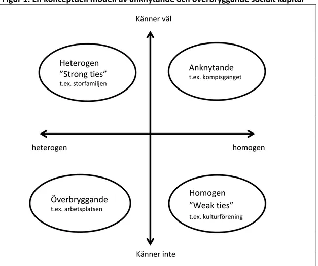 Figur 1. En konceptuell modell av anknytande och överbryggande socialt kapital 