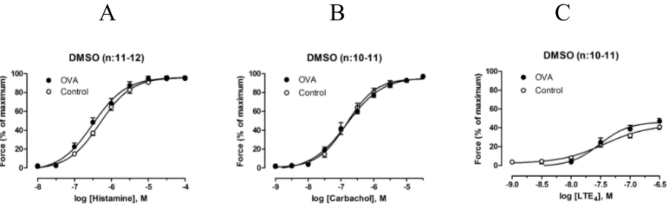 Figure 2. Concentration-dependent constriction of tracheal segments incubated with DMSO in  presence or absence of OVA
