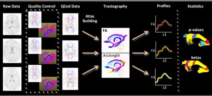 Figure  1  –  The  UNC-Utah  NA-MIC  DTI  Framework.  After  rigorous  quality  control,  specific  fiber  tracts were visualized by tractography