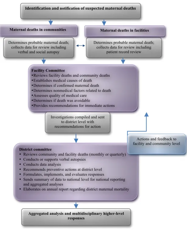 Figure 1:  An overview of the MDR process within the MDSR process. Adapted from the 