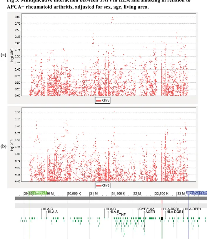 Fig 3. Multiplicative interaction between SNPs in HLA and smoking in relation to  APCA+ rheumatoid arthritis, adjusted for sex, age, living area