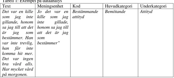 Tabell 1: Exempel på dataanalys  