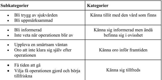 Tabell 2. Resultatets subkategorier och kategorier 