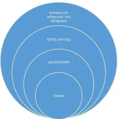 Figur 1. Säkerhetslager i den totala bedömningen  enligt SU behandlingsriktlinjer.  