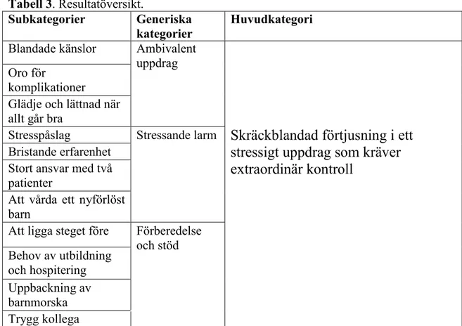 Tabell 3. Resultatöversikt. 