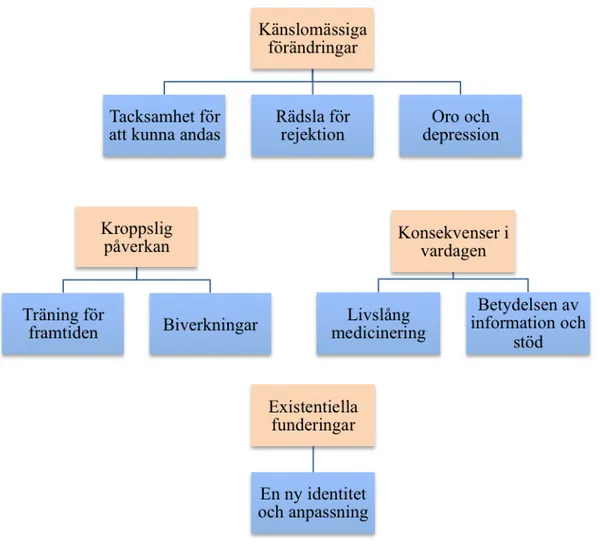 Figur 1. Kategorier och underkategorier 