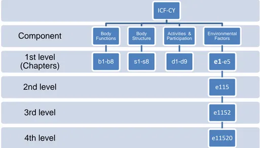 Figure 2. An example of the ICF-CY classification structure 