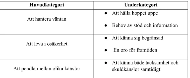 Tabell 1. Översikt av huvudkategorier och underkategorier.  