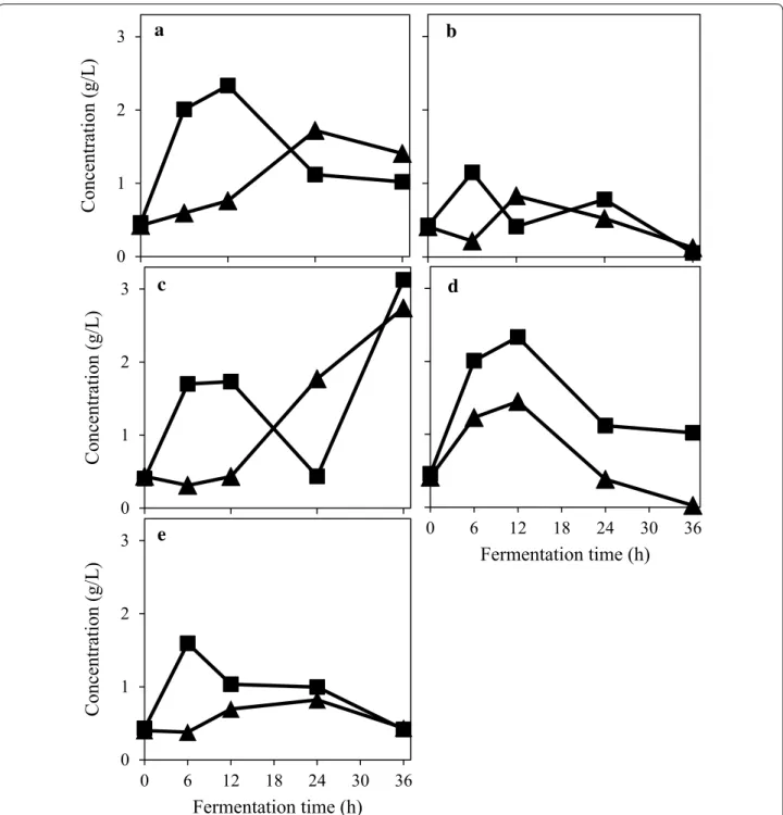 Fig. 1  Glucose concentration profile during the filamentous fungal cultivation in 2% (w/v) PpB substrate with no external enzyme supplementa-