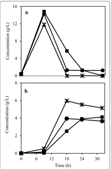 Fig. 4  Sugar and ethanol concentration profiles during the cultiva-