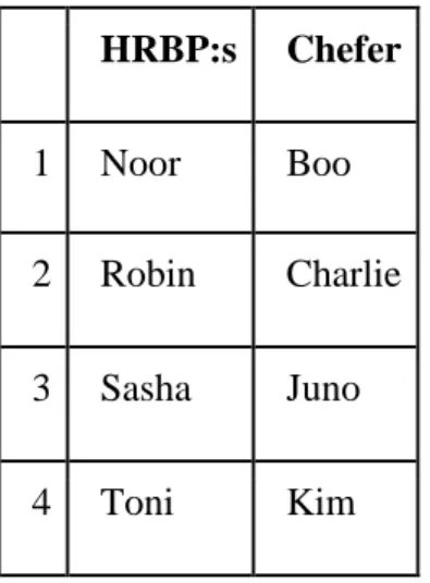 Tabell 1: Intervjupersoner, roller, namn. 