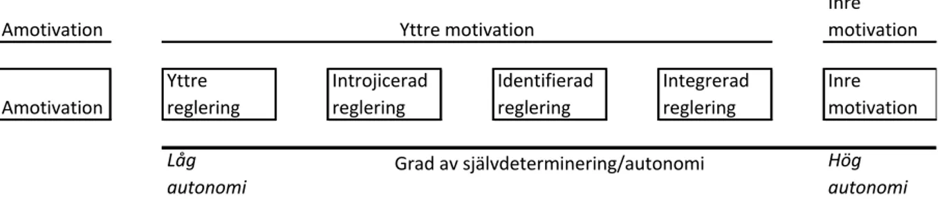 Figur 1. Egen tolkning och översättning av Deci och Ryans (2008) modell. Typer av motivation placerade på ett  kontinuum  av  självdeterminering/autonomi