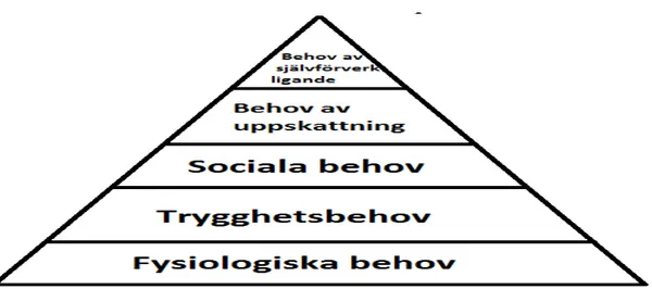Figur 1 Maslows pyramid (Maslow 1954).  