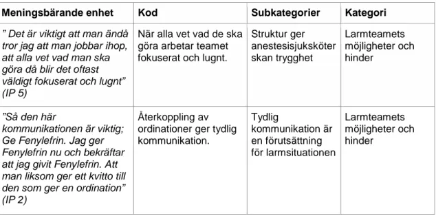 Tabell 1: Exempel på kategoribildning. 