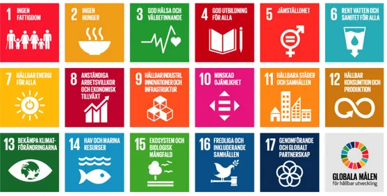 Figur 4. Målen inom Agenda 2030. 