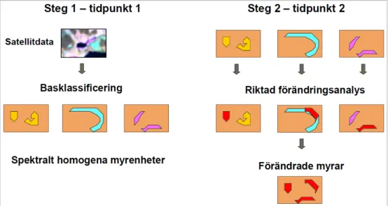 Figur 10. Principskiss av den riktade förändringsanalysens olika steg. Från Boresjö  Bronge (2006)