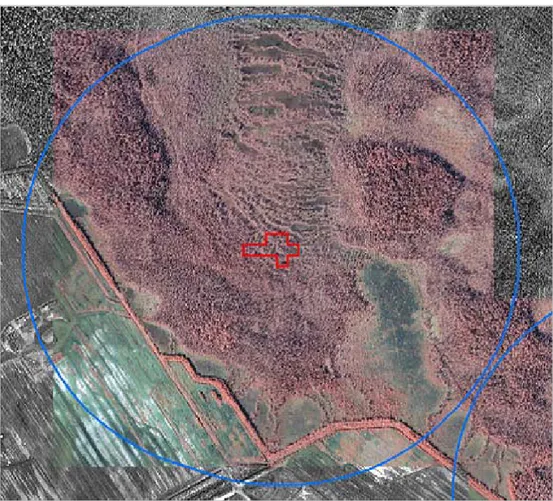 Figur 13. Vid utvärderingens flygbildstolkning beskrivs parametrar dels inom den 0,5 ha  stora utvärderingsytan (röd linje) samt inom en radie av 500 m kring ytan (blå linje)
