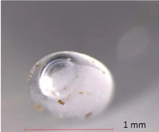 Figure 6. Transparent microspheres, identified as PMMA, have been found on beaches and in the  sea on the Swedish west coast
