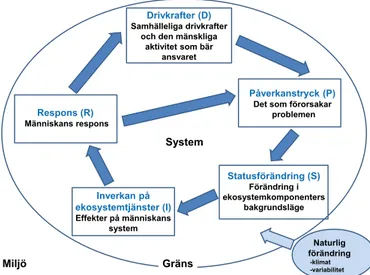 Figur 2. DPSIR-modellen som en cykel eller ett system inom miljön.