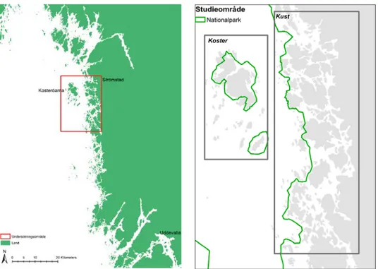Figur 4. Avgränsning av undersökningsområdet, på den in-zoomade kartan visas undersökningens  uppdelning Koster och i kust.