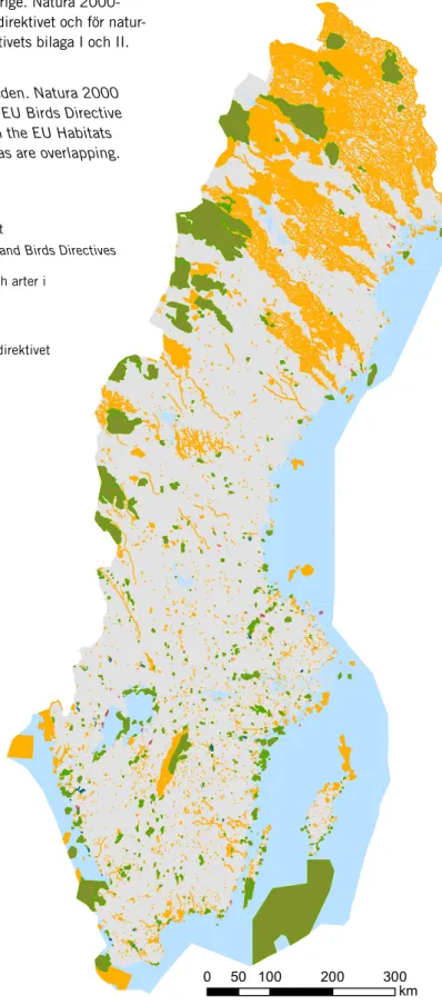 Figur 4.  Natura 2000-områden i Sverige. Natura 2000-  områden utses både för fåglar i fågeldirektivet och för  natur-typer och arter i art- och habitatdirektivets bilaga I och II