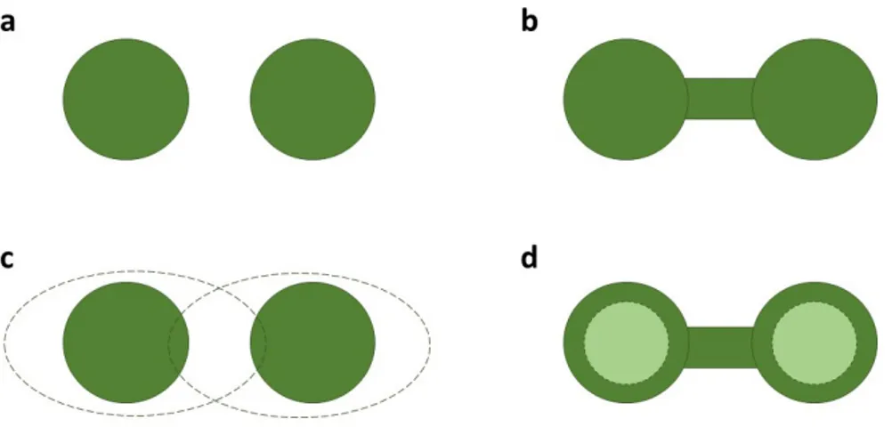 Figur 2. Grafisk representation av fysisk konnektivitet och funktionell konnektivitet (figuren bearbetad  baserat på Pe’er m.fl