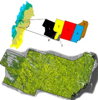 Figur 3:1. Karta överst till vänster: Studieområde (svart linje) med vegetationszoner