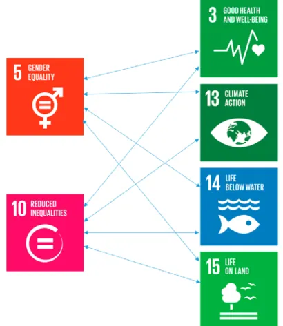 Figur 1. Illustration av de valda målen, SDG 5 och SDG 10 samt SDG 3, 13, 14 och 15,  och  relationerna mellan dem som analyserats