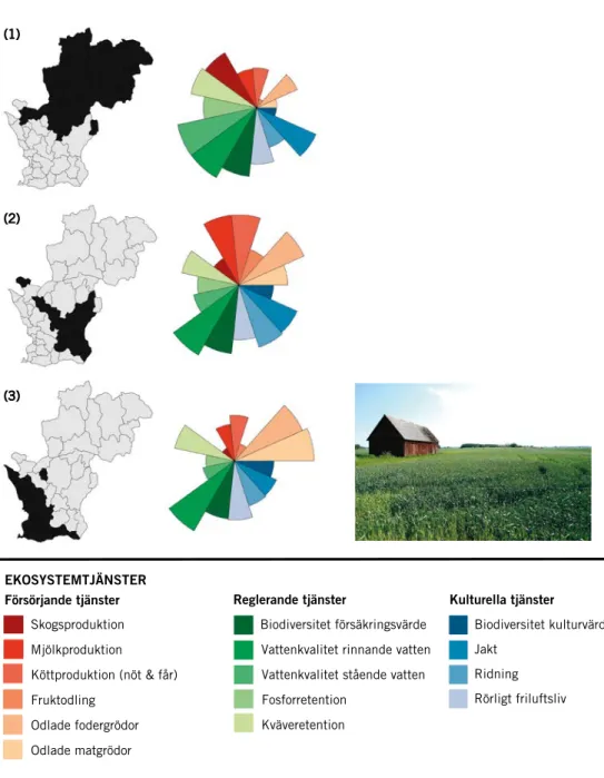 Figur 9. Avrinningsområdet kan beskrivas med hjälp av tre typiska ekosystemtjänstknippen, som  reflekterar det av skogsbruk präglade rurala landskapet i norr, det varierade produktionslandskapet  i sydost, och den urbaniserade slättlandsbyggden i sydväst