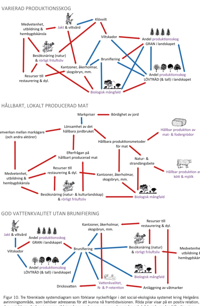 Figur 10. Tre förenklade systemdiagram som förklarar nyckelfrågor i det social-ekologiska systemet kring Helgeåns  avrinningsområde, som behöver adresseras för att kunna nå framtidsvisionen