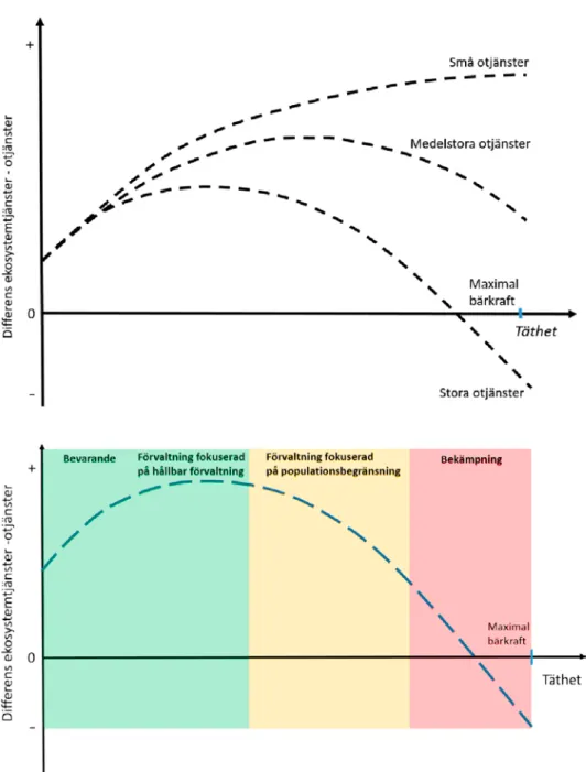 Figur 3. Grafisk modell för hur värdet av ekosystemtjänster kan variera med populationstätheten för  arter
