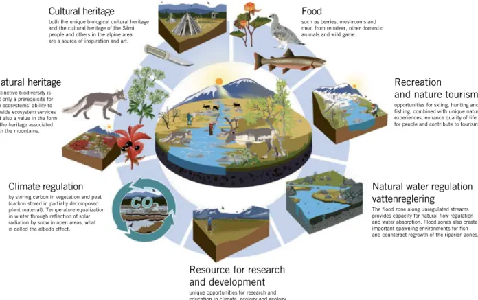 Figure 2. Ecosystem services in the mountains. Which of the ecosystem services affect each  other and what is a prerequisite for what?  SOURCE: SWEDISH ENVIRONMENTAL PROTECTION AGENCY