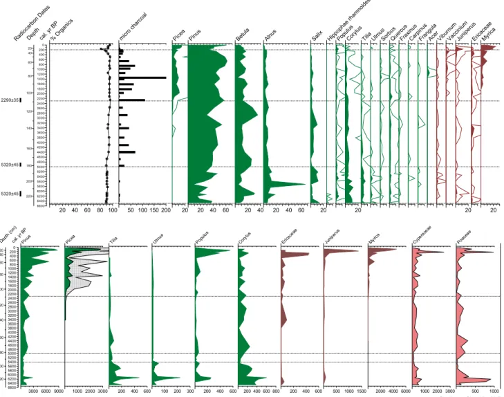 Figur 2a. Pollenhistoriska data från Måltidssjön. Överst: pollenhalter i procent för dominerande  träd och buskar korrelerat med kol 14 -dateringar