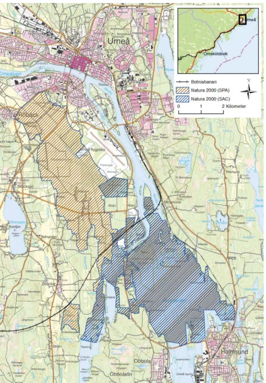 Figur 1. Utbredning av de två berörda Natura 2000-områdena: Umeälvens delta och slätter – 