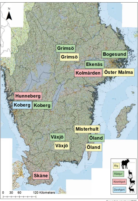Figur 4C. Fördelning av studieområden med GPS-märkta klövviltsarter i tre olika  delar av Sverige (A: Norrbotten, B: Västerbotten, C: Södra Sverige, söder om  breddgrad 60°N) för älg (gul, n = 20), rådjur (grön, n = 7), kronvilt (röd, n = 3) och  dovvilt (