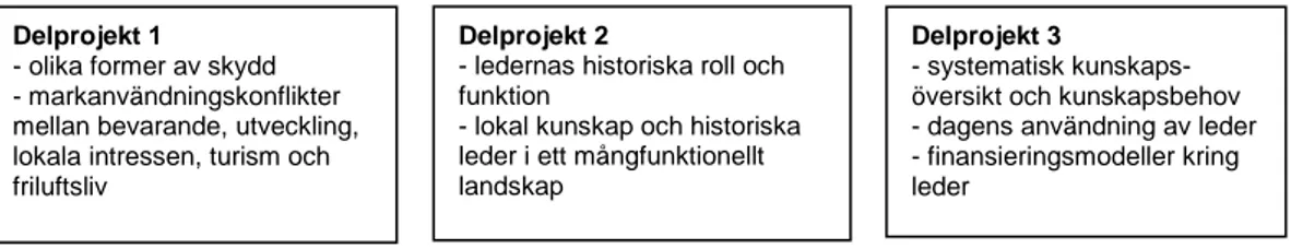 Figur 1. Projektorganisation  