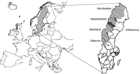 Figur 5. De fyra fjällänen och de femton fjällkommunerna i Sverige med  Vilhelmina kommun markerad i mörkgrått
