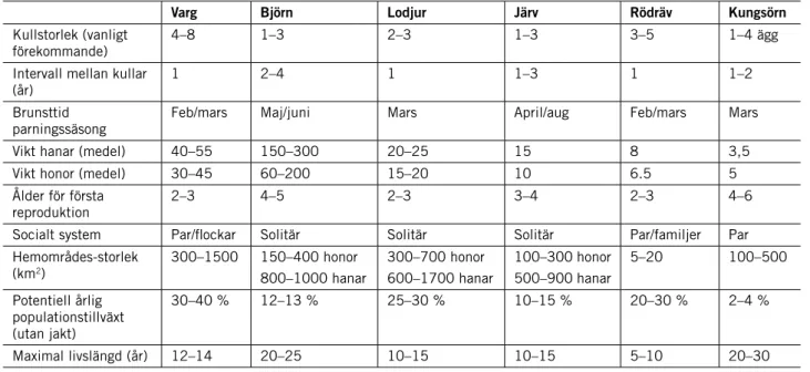 Tabell 1. Sammanfattande artbeskrivningar för de stora rovdjuren, samt rödräv och kungsörn i  Skandinavien.