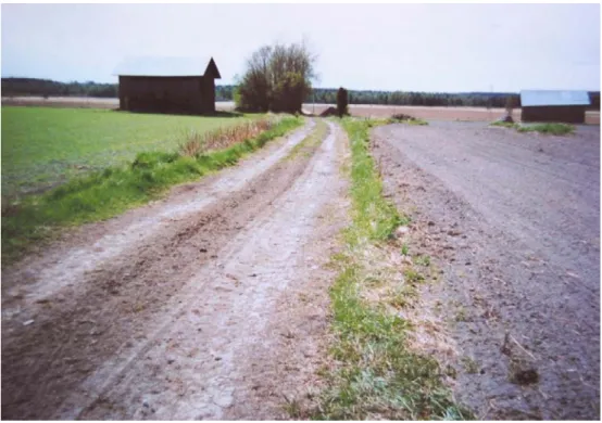 Figur 3. Ortolansparvsrevir i jordbrukslandskap med flera viktiga komponenter. Boplatser (diken,  åkerholmar, fältkanter), sångplatser (lador, buskage, teleledning) och födosöksmiljöer (markväg,  vårsådda fält)