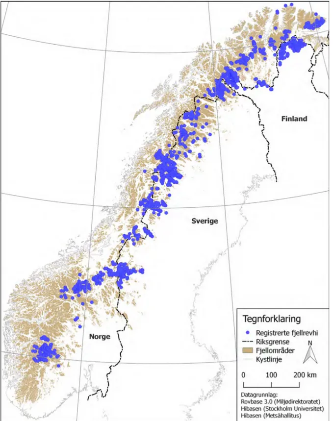 Figur 3. Förekomsten av fjällrävslyor i Norge, Sverige och Finland indikerar fjällrävens tidigare  utbredning (Rovbase 3.0, Miljødirektoratet, 2016).
