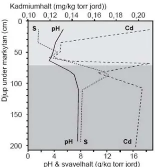 Figur 8. Svavel- och kadmium-innehållet samt pH på olika djup ovanför och under  grundvattenytan i en sur sulfatjord nära Mälaren (Sohlenius &amp; Öborn, 2002)