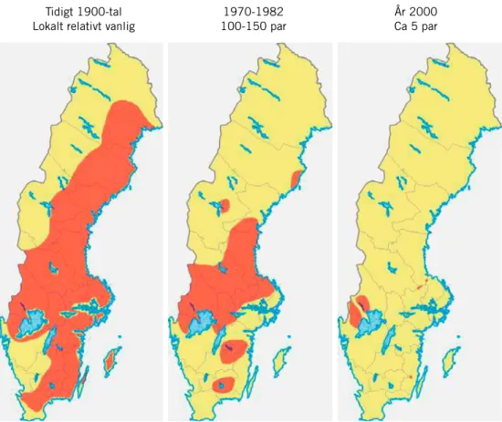 Figur 3. Den vitryggiga hackspettens tidigare svenska utbredning. Utbredningen i äldre tid har 