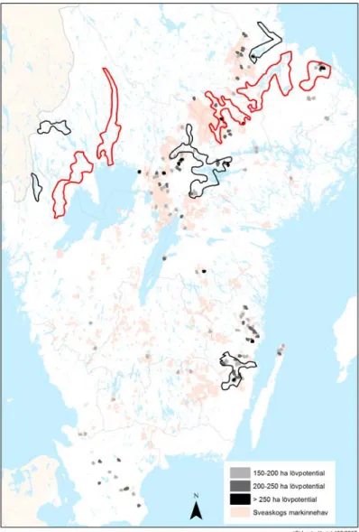 Figur 7. Resultatet av Sveaskogs analys av potentialen för att skapa lövkärnområden på deras mark-