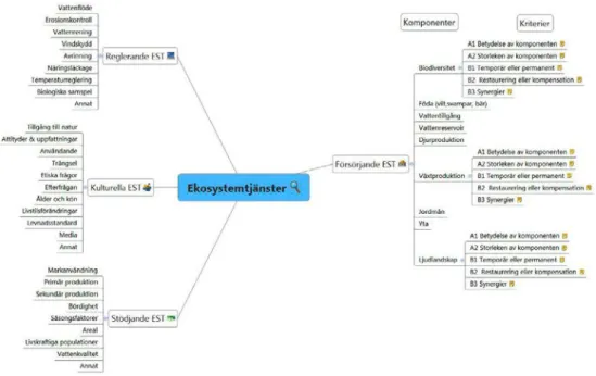 Figur 3. EST-kategorier med komponenter som värderas med RIAM-kriterier.