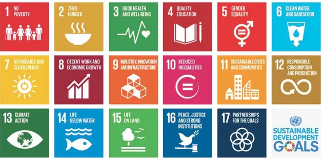 Figure 1. The UN Sustainable Development Goals 