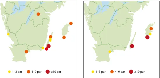 Figur 5. Utbredning i södra Sverige av brushane (till vänster) och rödspov (till höger)