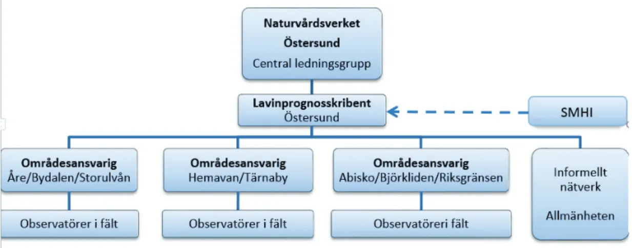 Figur 6. Organisationsmodell  