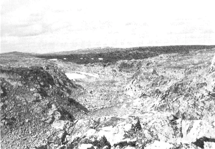 Fig  11  Djupt nedskurna rännor korsar fjällryggen ned mot Könkämäälvens dalgång.  (Detta exempel ligger  norr om Piggusvaare.) 