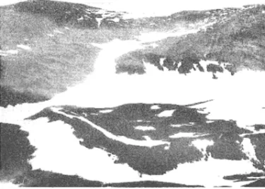 Fig  10  Blockglaciärliknande  moränbåge  vid  Mårmatjåkka. 